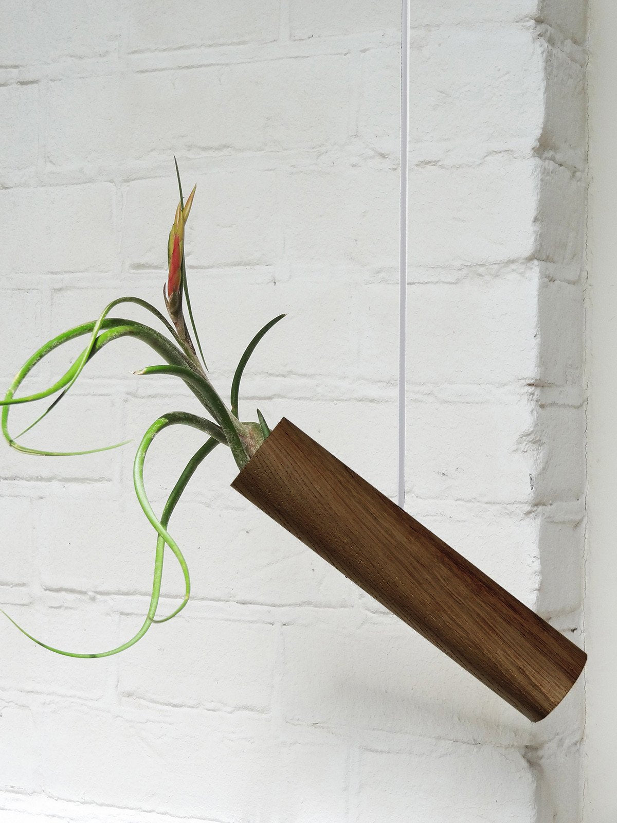 Hängender Cylinder – Dunkle Eiche