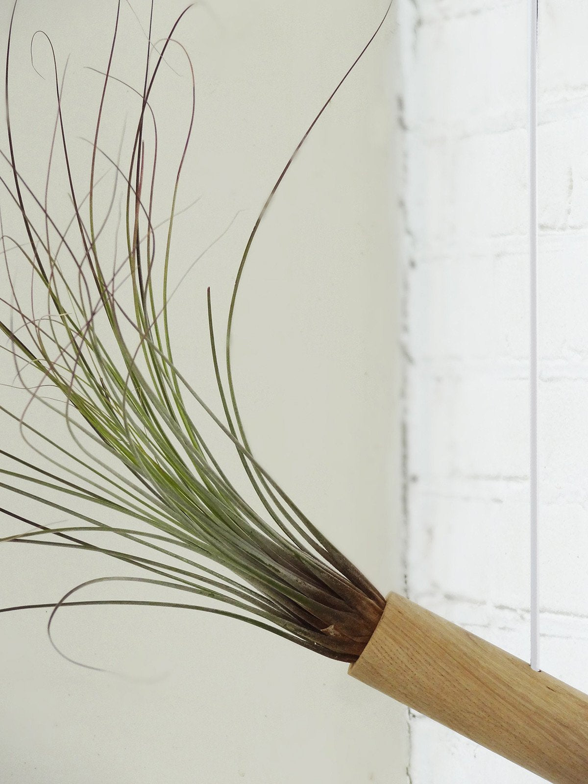 Hängender Cylinder – Helle Eiche