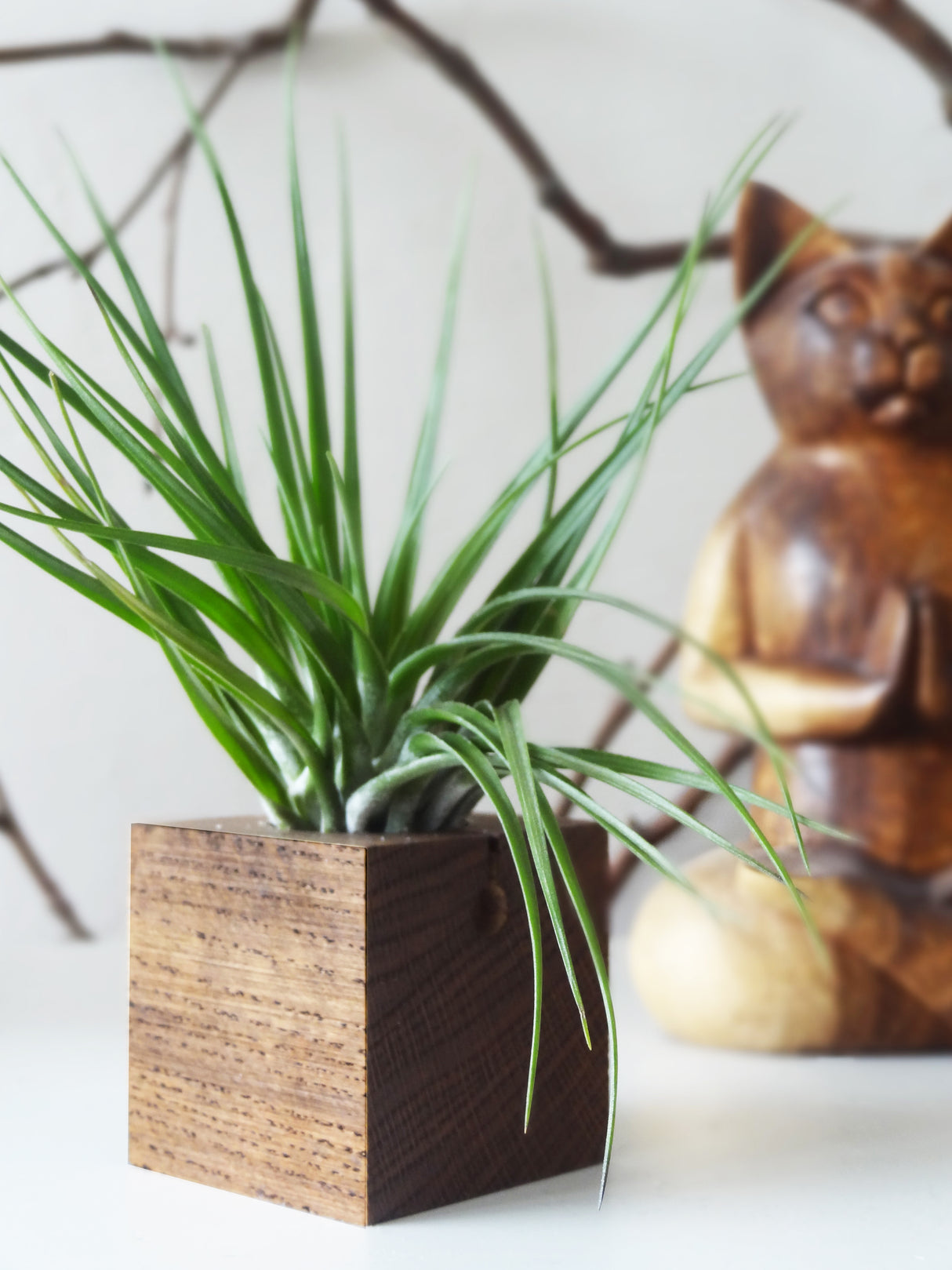 Würfel – Dunkle Eiche