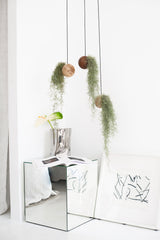 Hängende Sphere – Helle Eiche