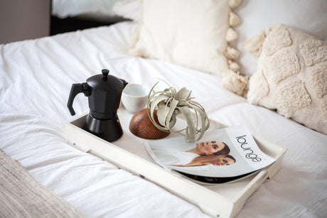 Hemisphere – Dunkle Eiche