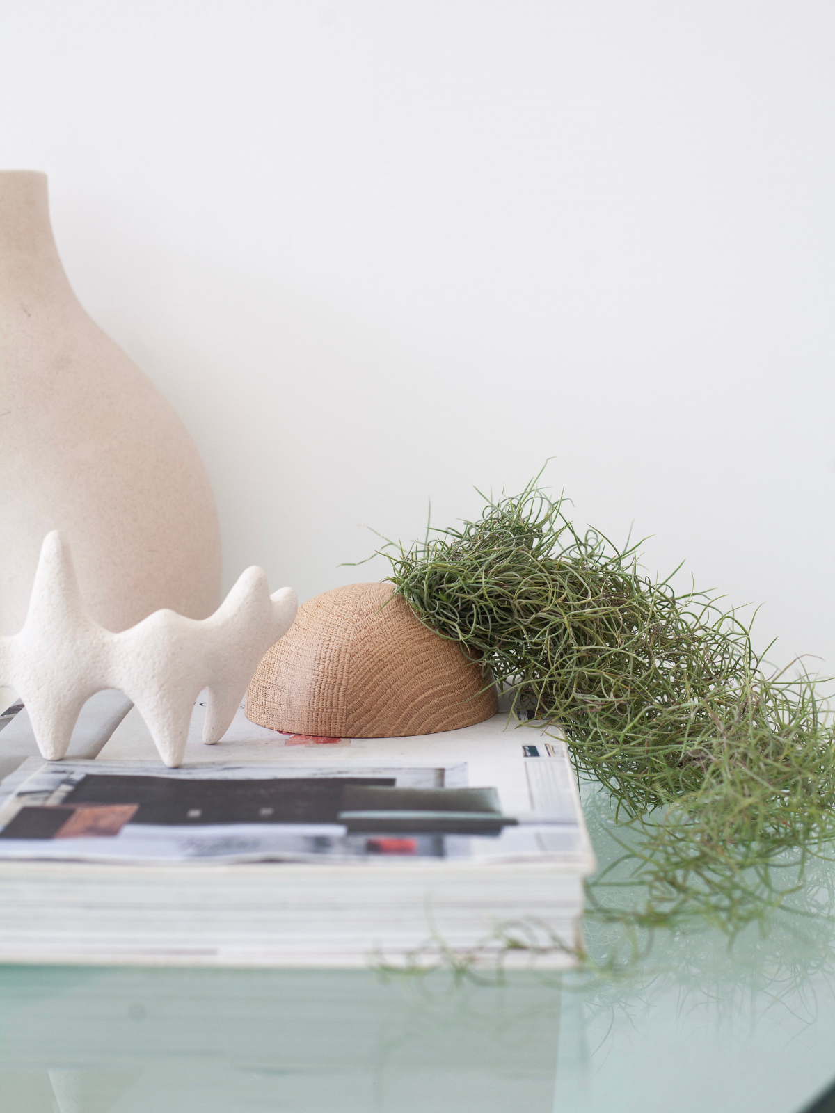 Hemisphere – Helle Eiche