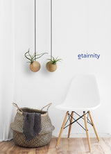 Hängende Sphere – Helle Eiche