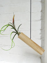 Hängender Cylinder – Helle Eiche