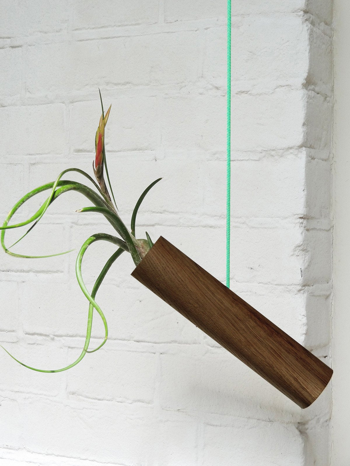 Hängender Cylinder – Dunkle Eiche