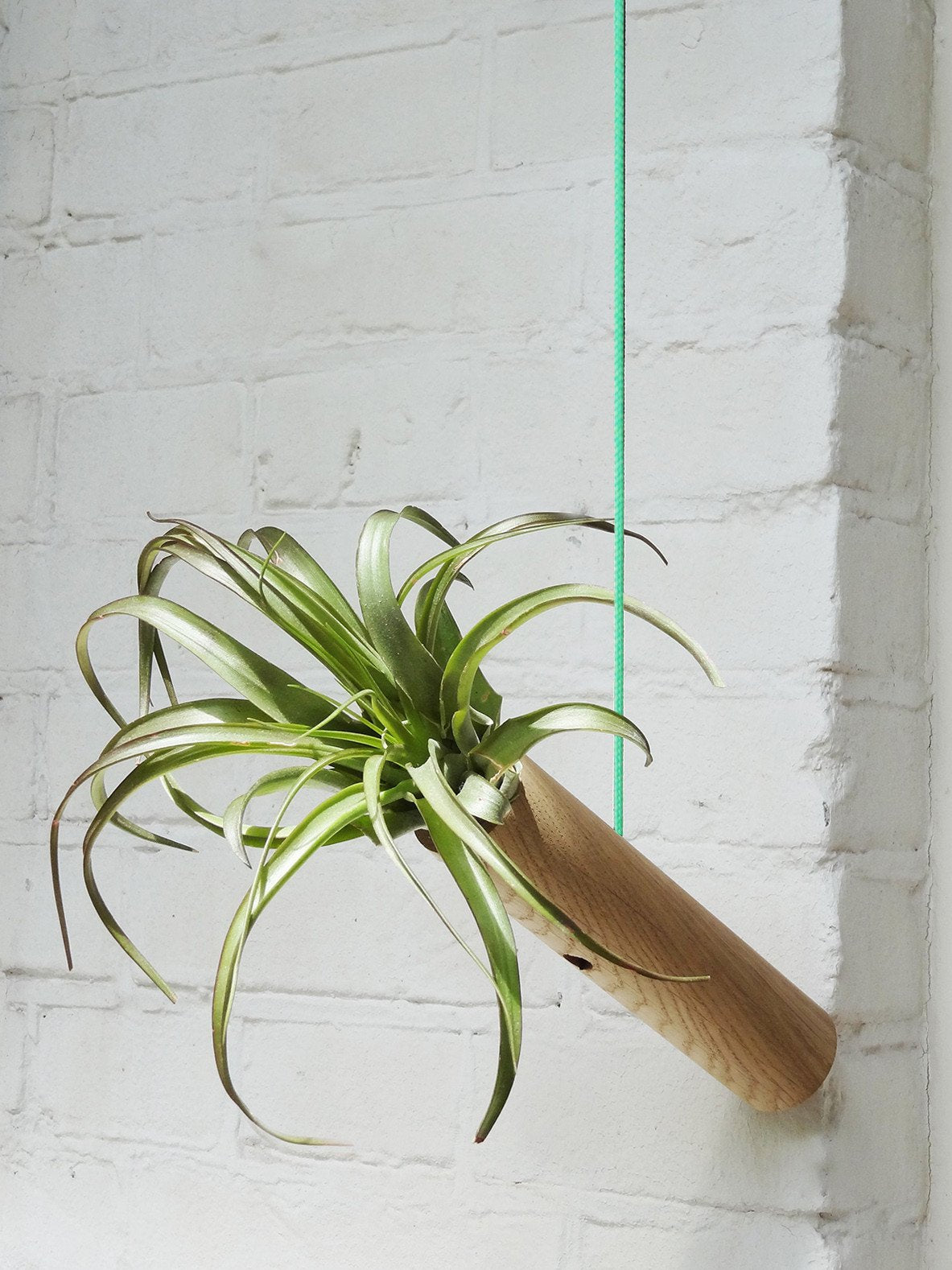 Hängender Cylinder – Helle Eiche