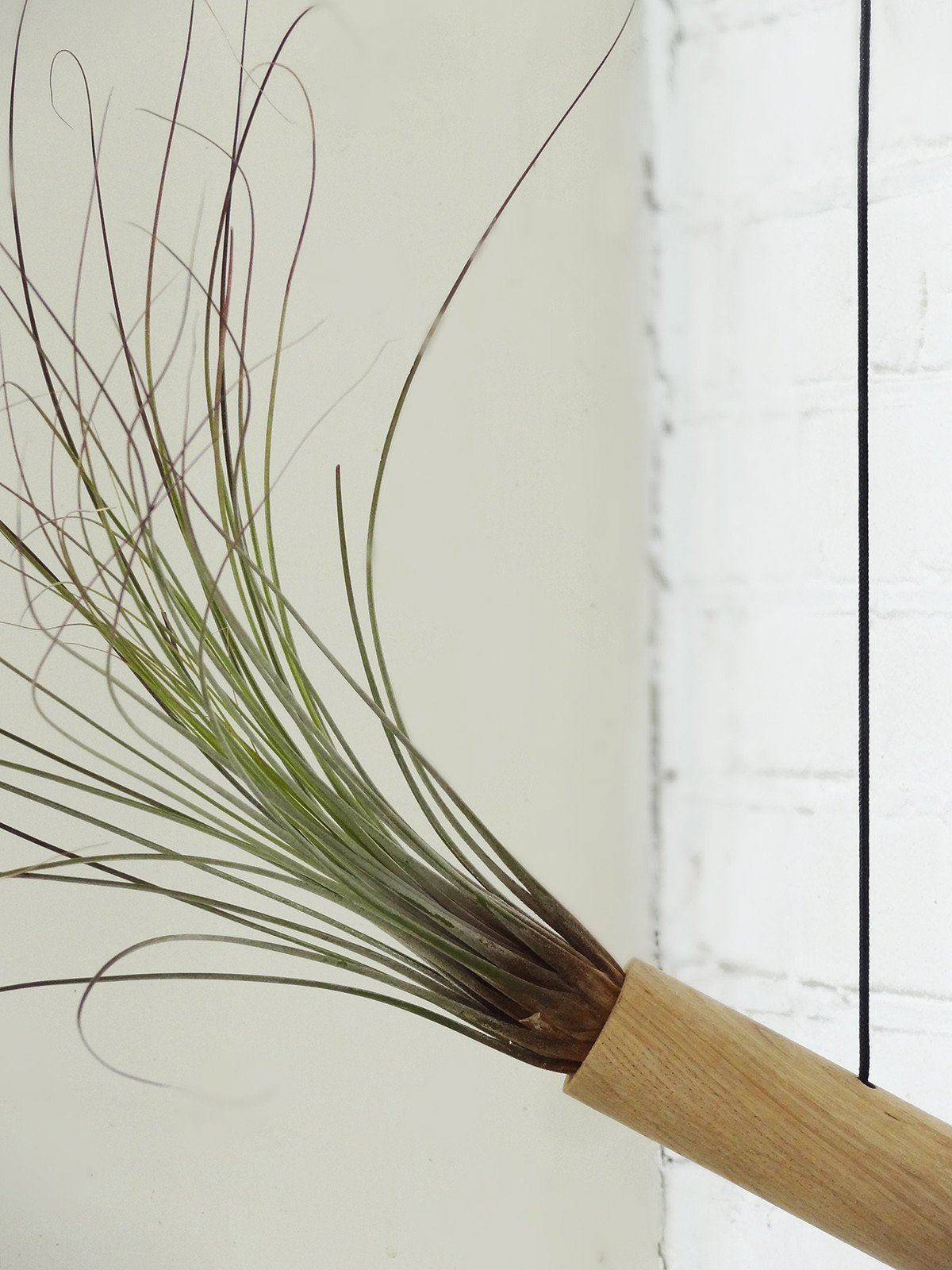 Hängender Cylinder – Helle Eiche