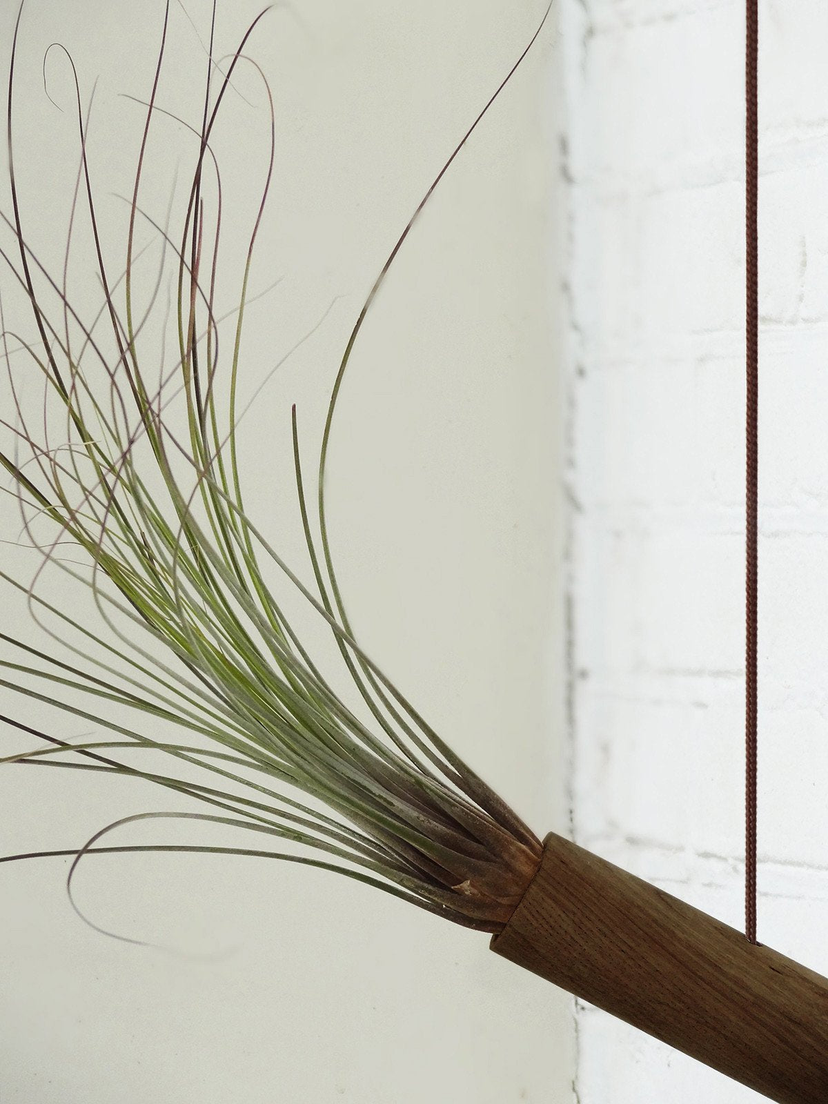 Hängender Cylinder – Dunkle Eiche