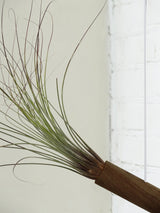 Hängender Cylinder – Dunkle Eiche