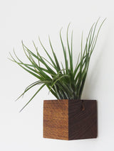 Würfel – Dunkle Eiche