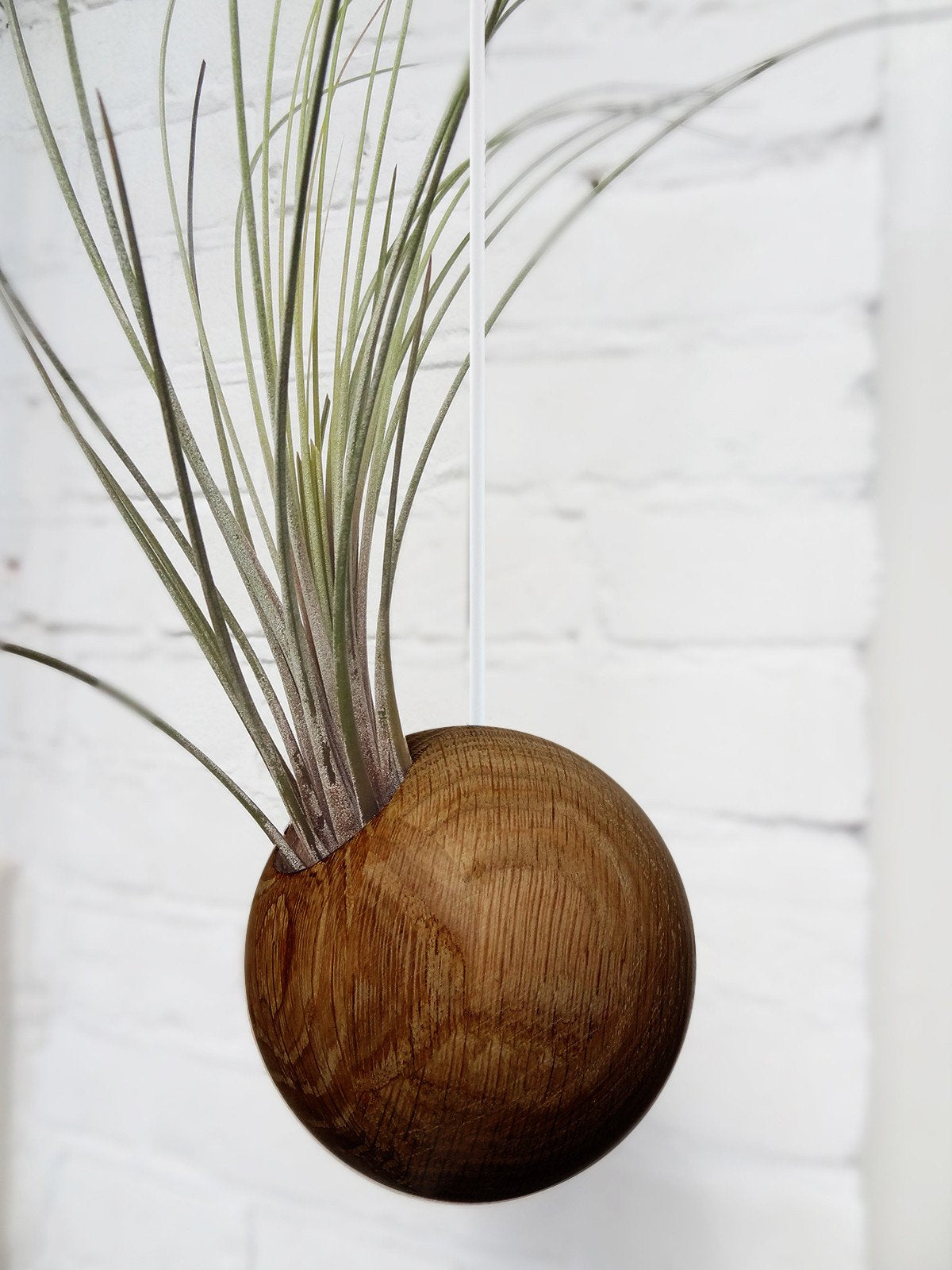 Hängende Sphere – Dunkle Eiche