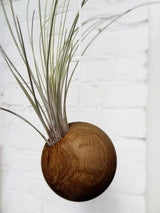 Hängende Sphere – Dunkle Eiche