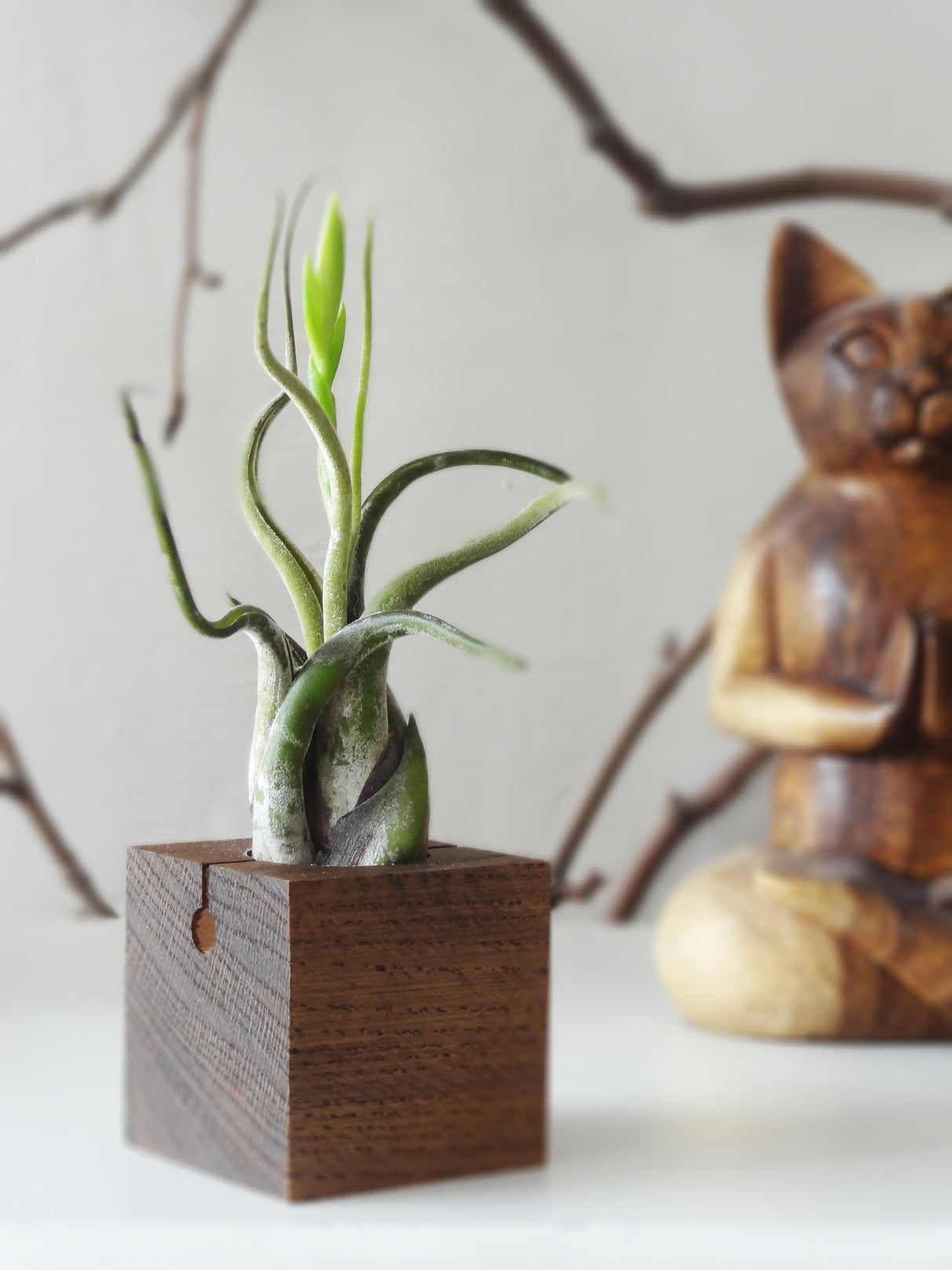 Würfel – Dunkle Eiche