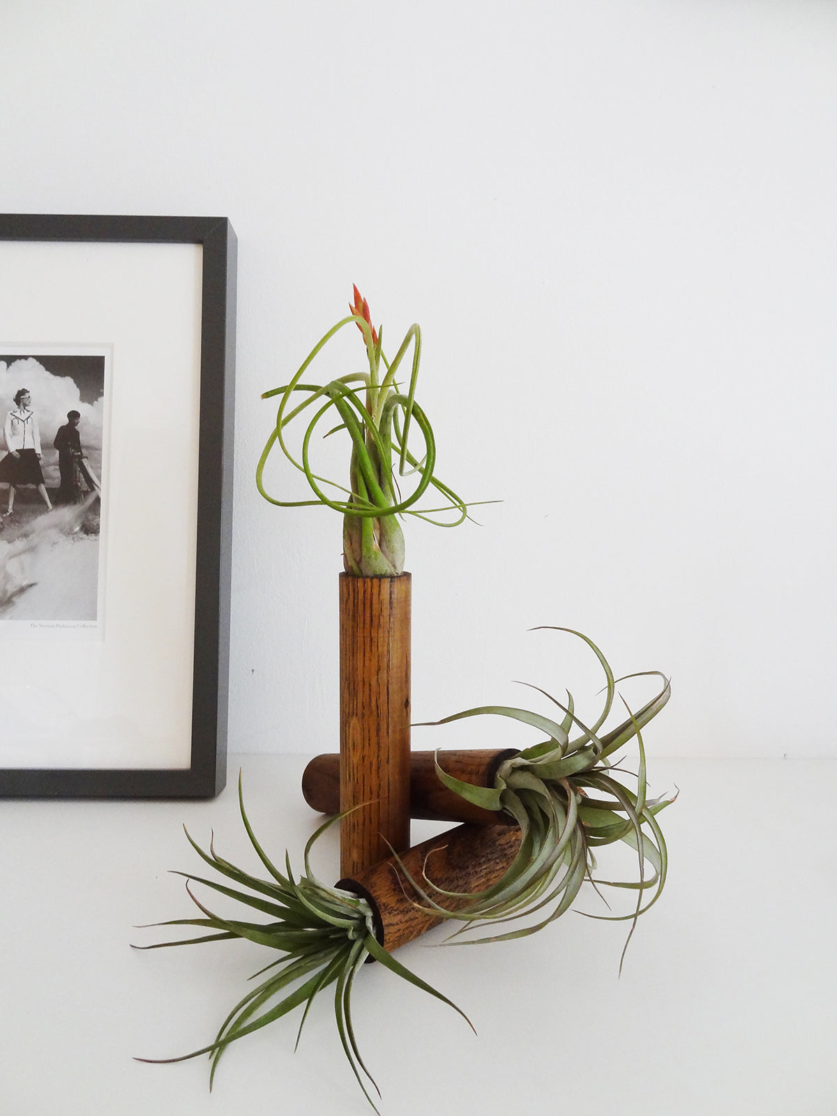 Stehender Cylinder – Dunkle Eiche – 3er Set