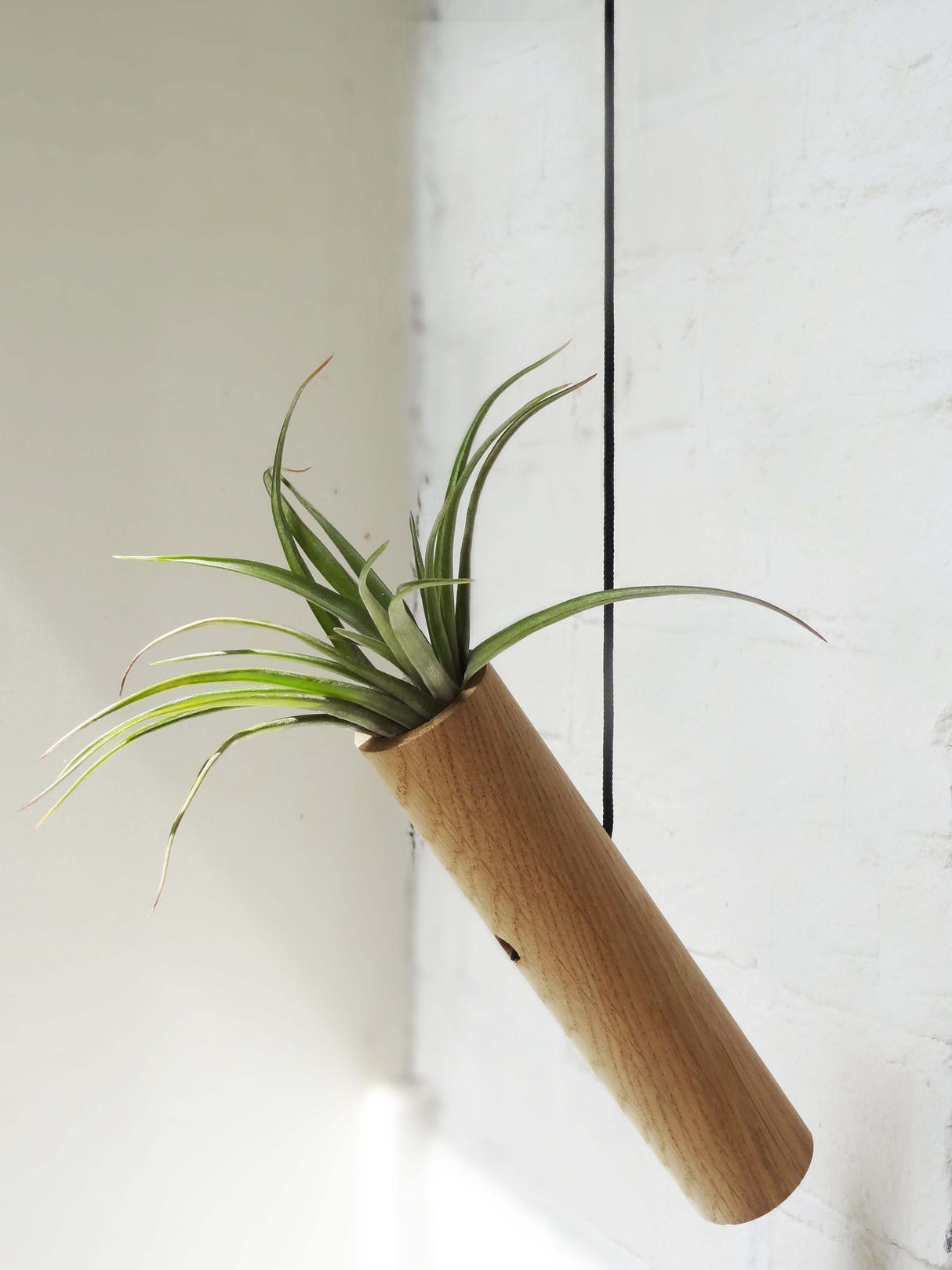 Hängender Cylinder – Helle Eiche