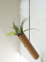 Hängender Cylinder – Helle Eiche