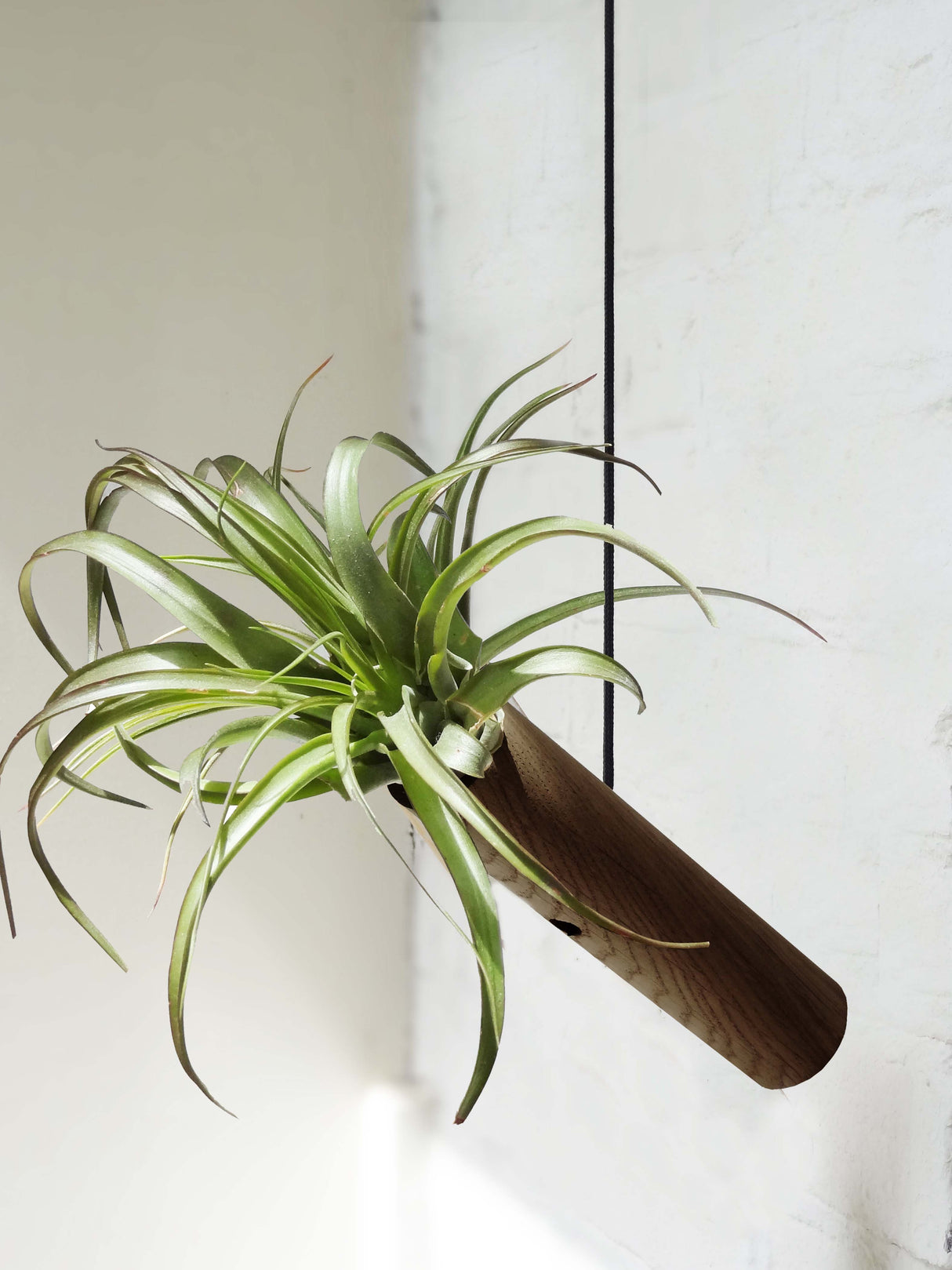 Stehender Cylinder – Dunkle Eiche – 3er Set