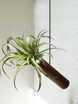 Stehender Cylinder – Dunkle Eiche – 3er Set