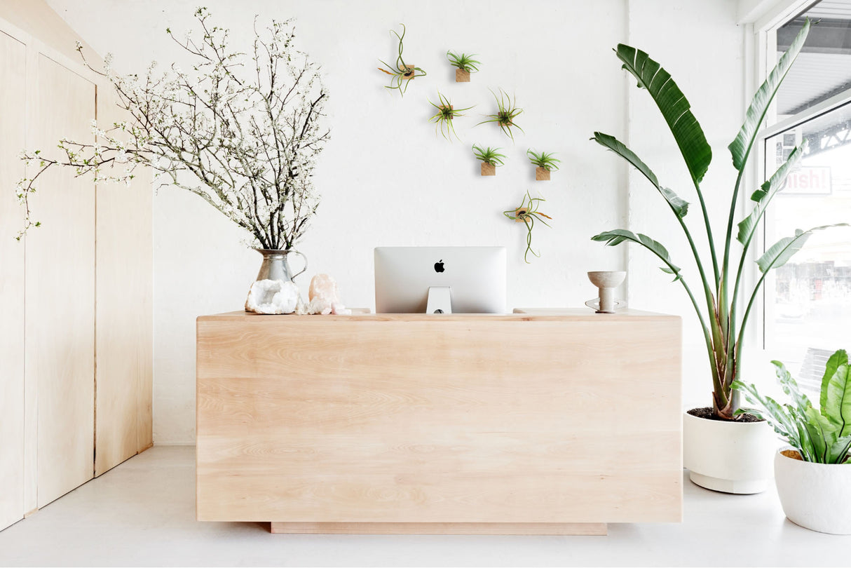 Würfel – Dunkle Eiche