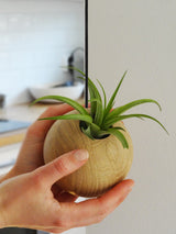 Hängende Sphere – Helle Eiche