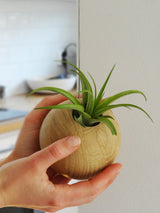 Hängende Sphere – Helle Eiche