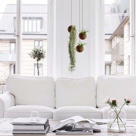 Hängende Sphere – Dunkle Eiche